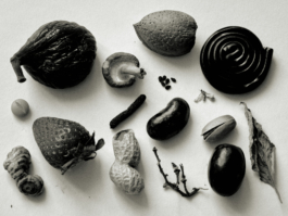 Michele Di Dio; contact@micheledidio.com