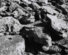 Michele Di Dio; contact@micheledidio.com