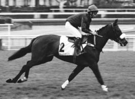 Michele Di Dio; contact@micheledidio.com