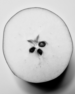 Michele Di Dio; contact@micheledidio.com