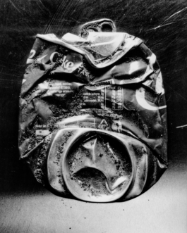 Michele Di Dio; contact@micheledidio.com